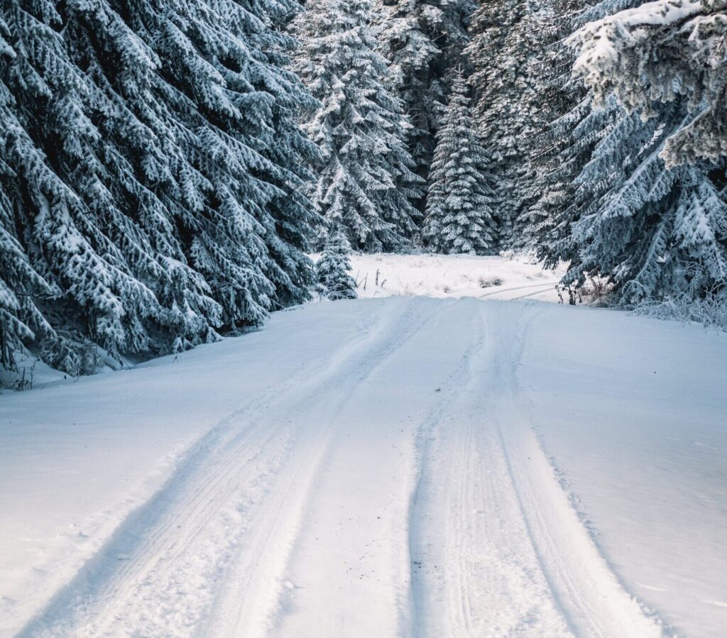 Snow Covered Road